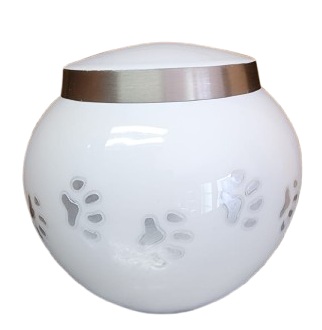 Odisea Perla - Anfora urna cenizas personas Chile