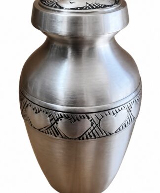 Plata de Avalón