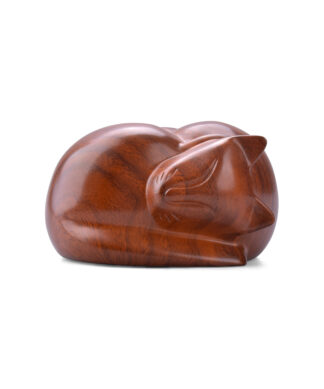 Sleeping Cat Brown