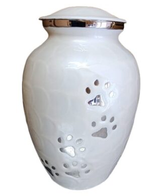 2900P - Anfora urna cenizas personas Chile